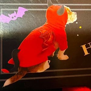 XS winged Devil Dog Costume